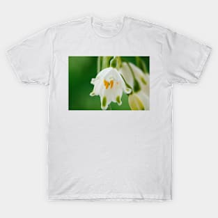 Leucojum aestivum  &#39;Gravetye Giant&#39;  AGM  Summer snowflake T-Shirt